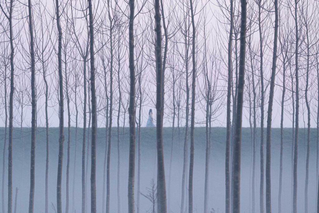 03_La-Grazia-©-Andrea-Pirrello-1024x683 Ekskluzivna projekcija filma La Grazia, režisera Paolo Sorentina u MTS Dvorani, koja najavljuje novi filmski festival: "Beograd Film Festival"