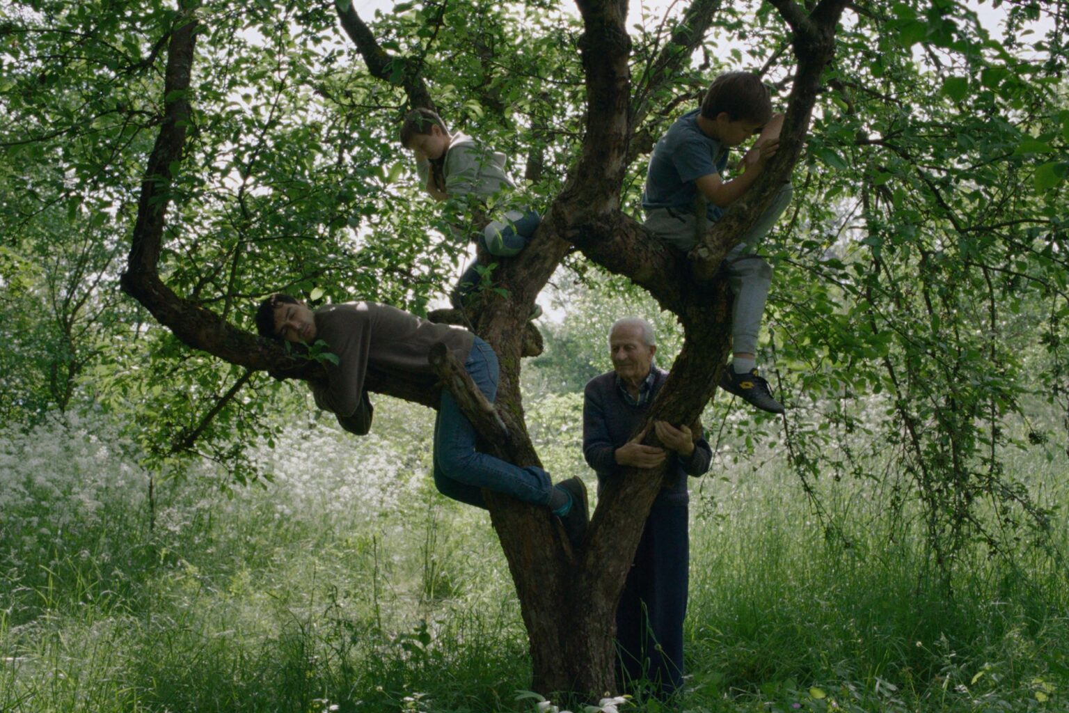 Specijalna projekcija filma Vetre, pričaj sa mnom, 27. decembra u Dvorani Kulturnog centra Beograda