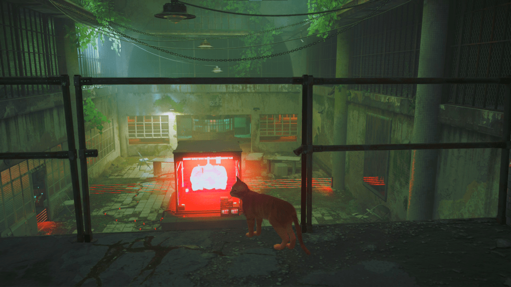 image-147-1024x576 Stray - Switch 2 Recenzija - Mala mačka, veliki grad i avantura koja se ne zaboravlja