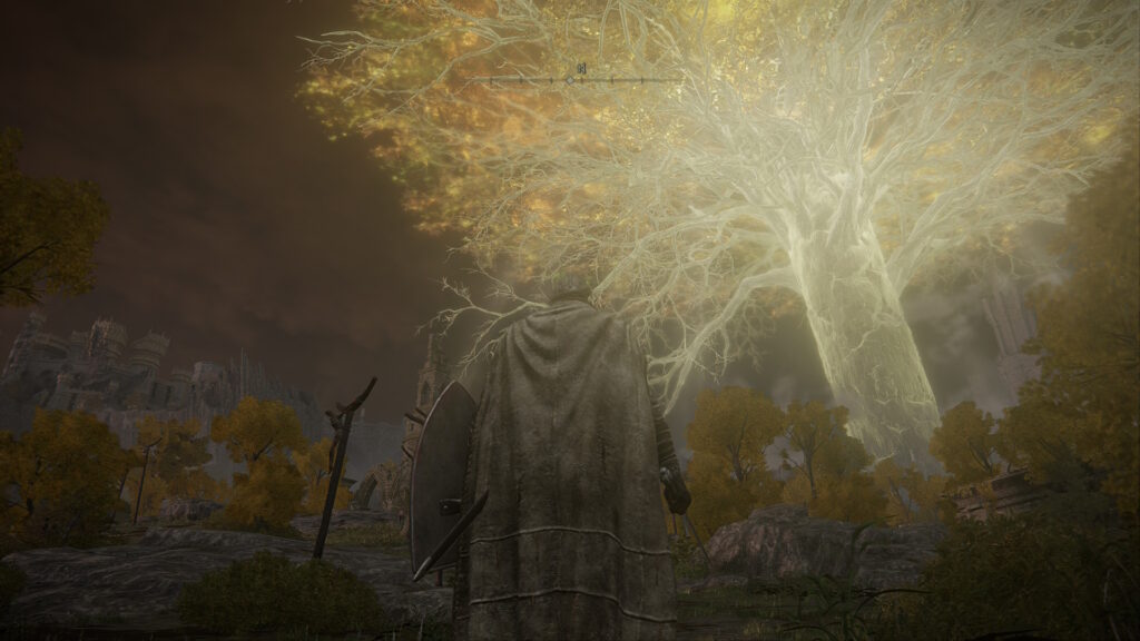 IMG_0030-1024x576 Elden Ring: Tarnished Edition - Switch 2 Review - A Soulslike Adventure That Still Has No Real Competition